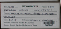 Image Associated With the Occurence